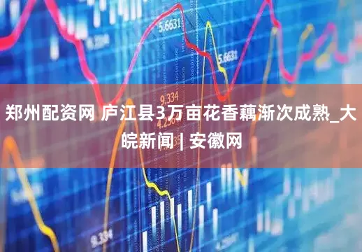郑州配资网 庐江县3万亩花香藕渐次成熟_大皖新闻 | 安徽网